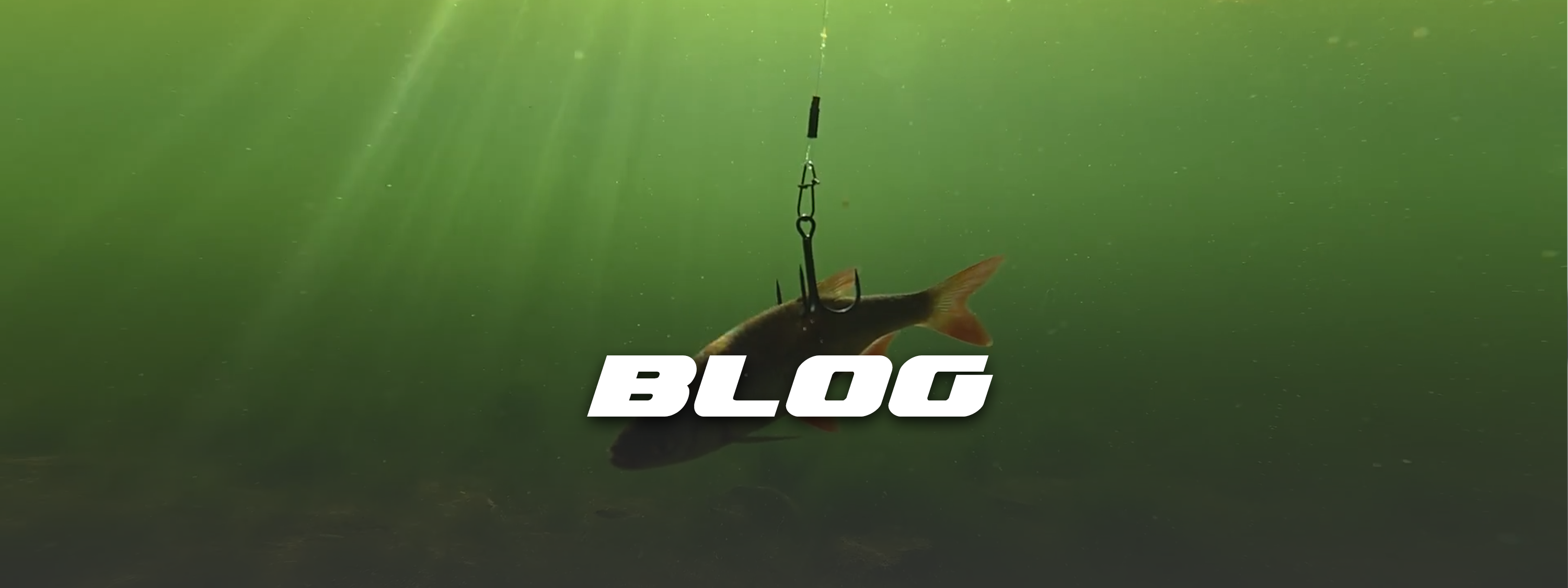 Koud water, dikke vis: snoek vangen met doodaas