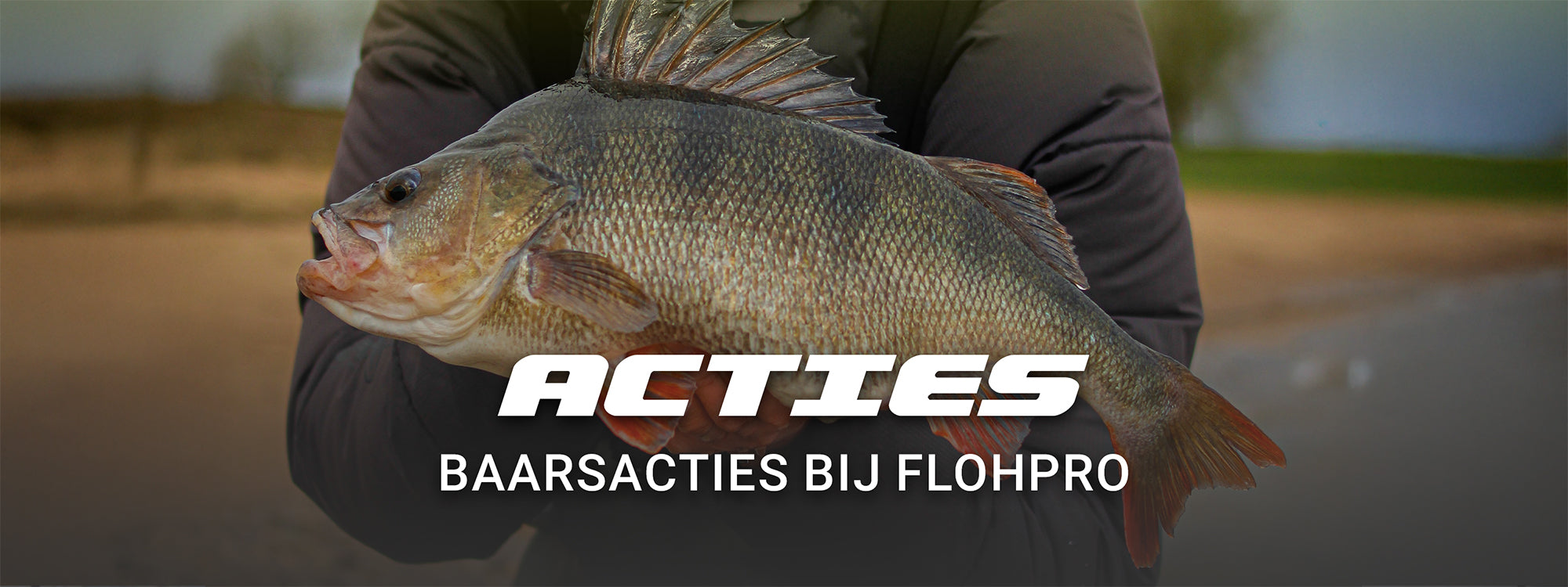Baarsacties bij FlohPro