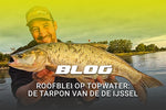 Blog_roofblei