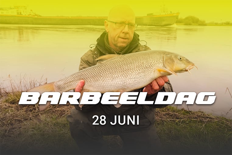FlohPro_blog_BarbeelDag