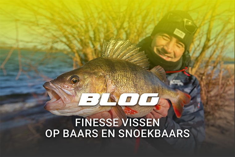 FlohPro_blog_finesse
