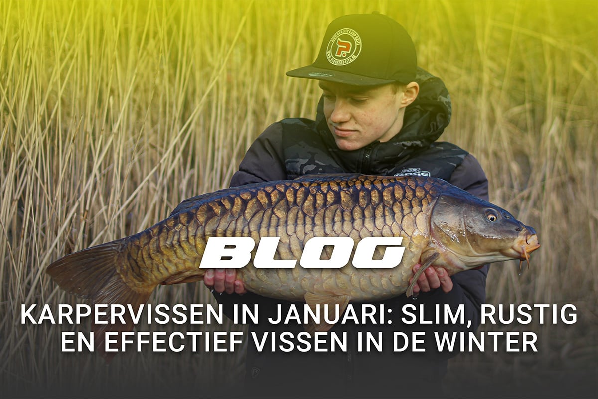 FlohPro_blog_karper