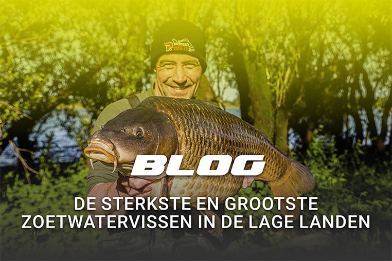FlohPro_blog_karper
