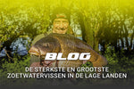 FlohPro_blog_karper