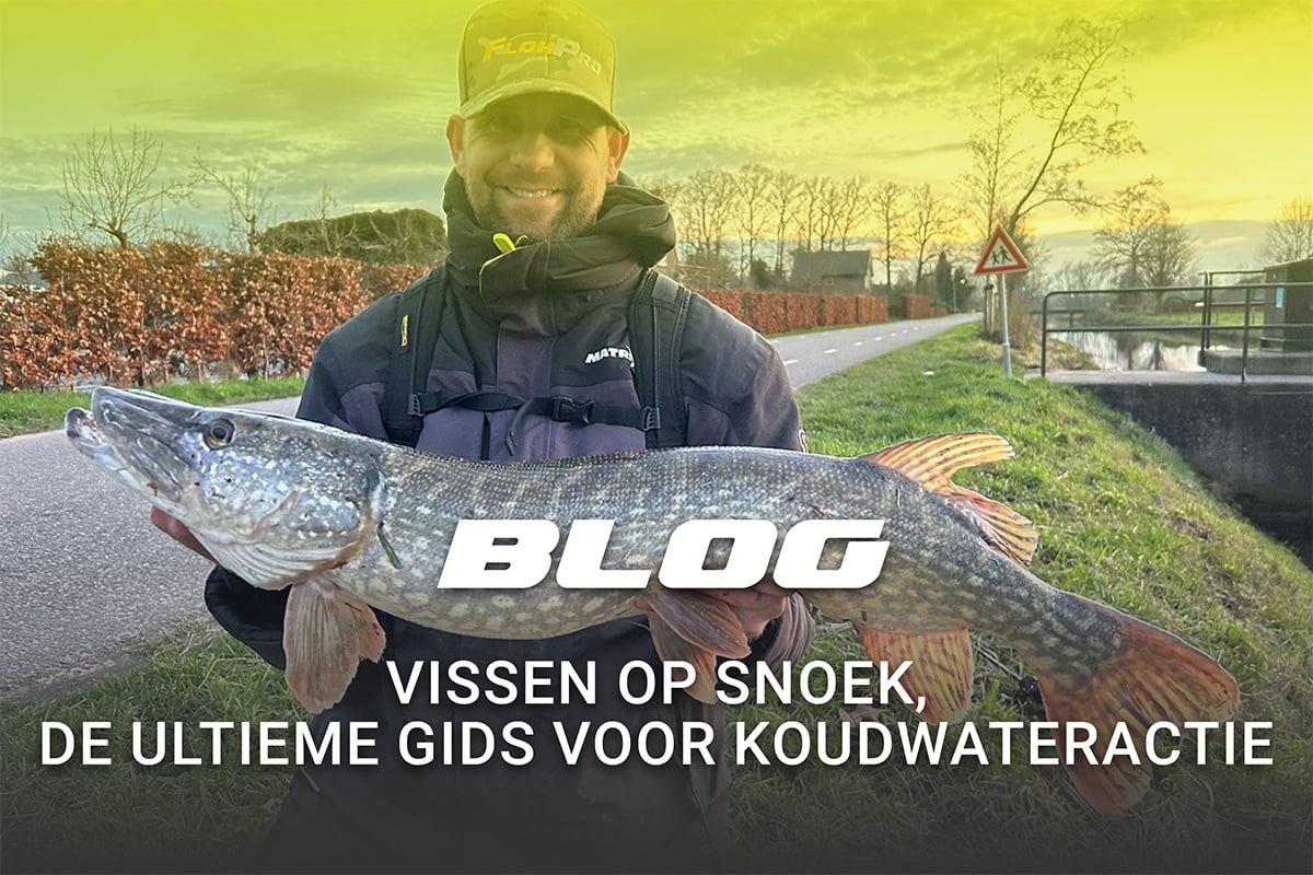 FlohPro_blog_snoekblog_top