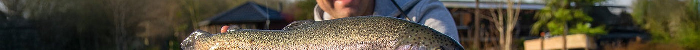forel