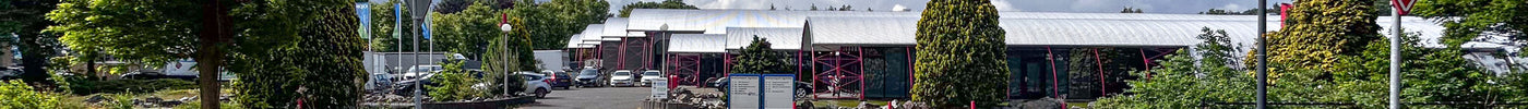 IMG_4597