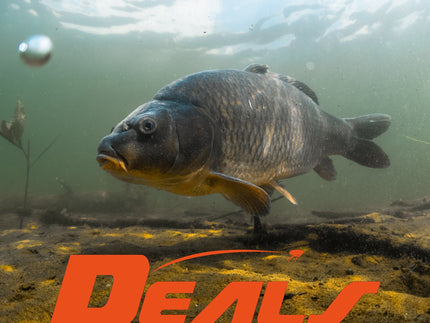 flohpro-karper-deals