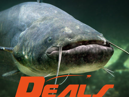 flohpro-meerval-deals