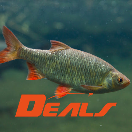flohpro-witvis-deals