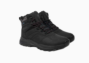 FlohPro_Cat_Sub_ Vis schoenen