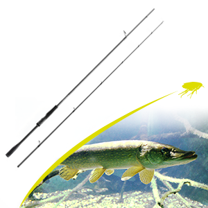 Collection image for: Snoek hengels