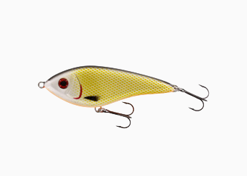Collection image for: Snoek aas