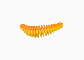 Softbaits-Forel
