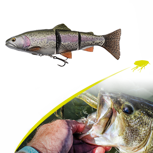 swimbaits_V2