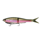 Rainbow Trout