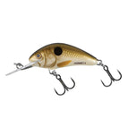 Pearl Shad