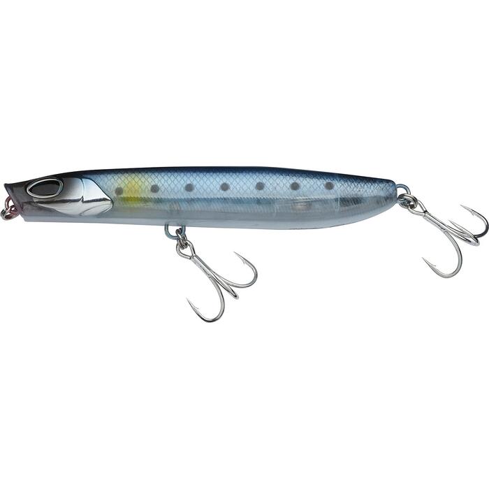 Sardine