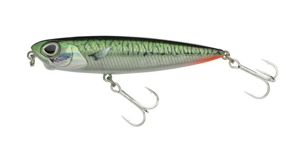 Mackerel