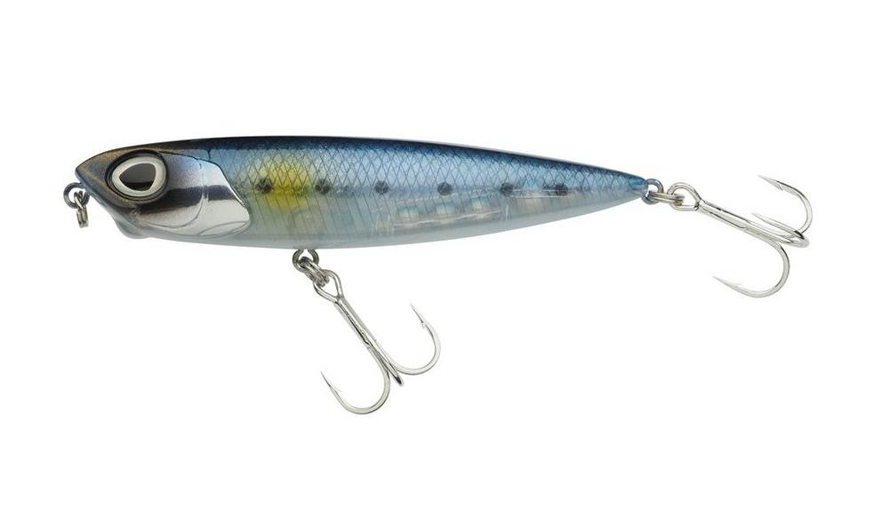 Sardine