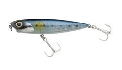 Sardine