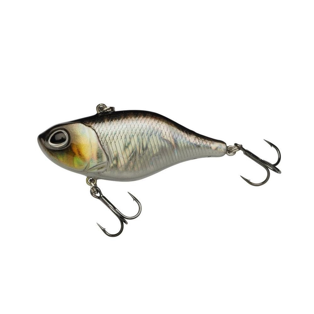 BAITFISH