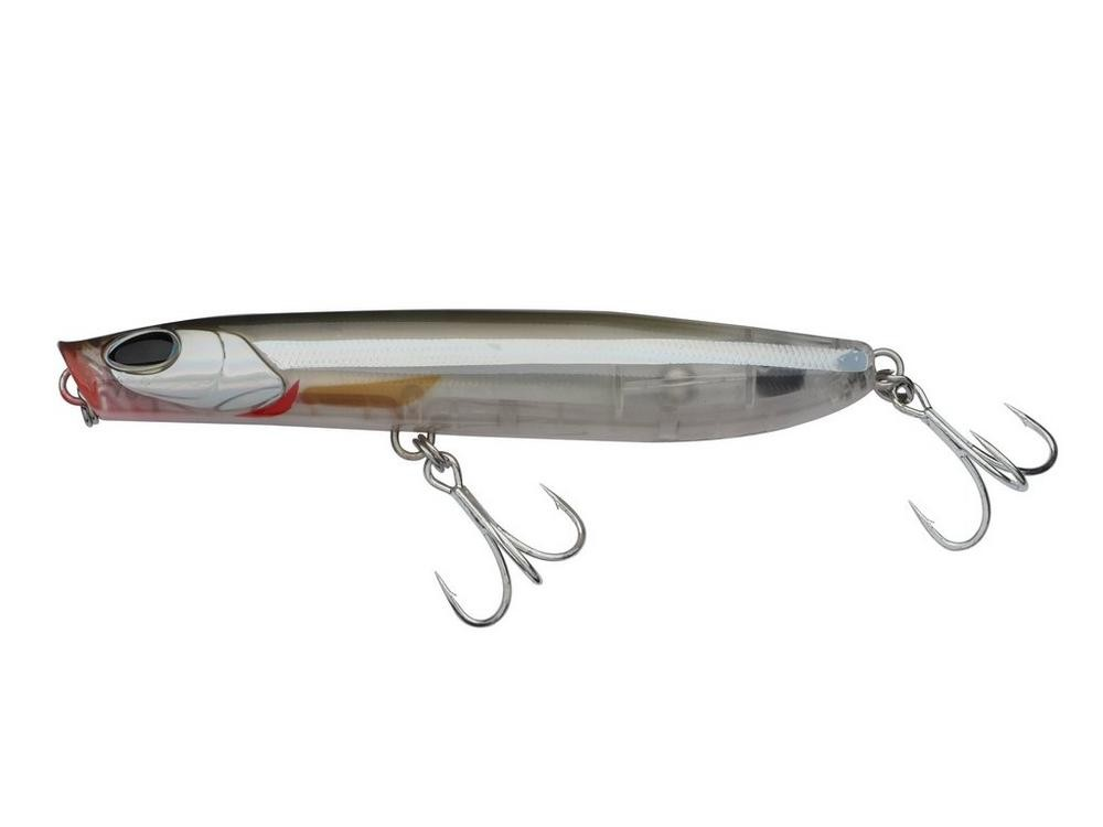 Sardine