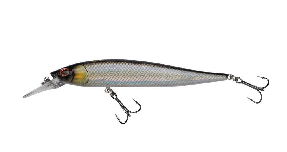 Baitfish
