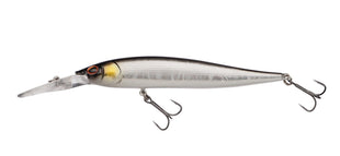 Baitfish