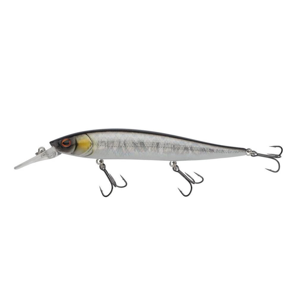 BAITFISH