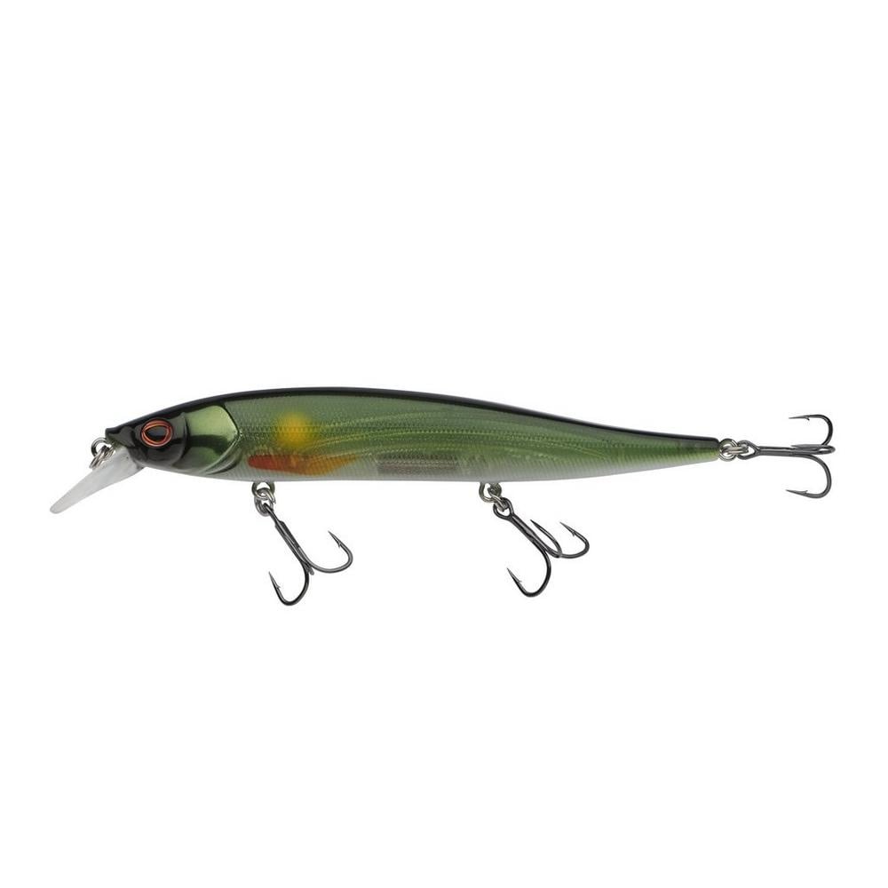 BAITFISH