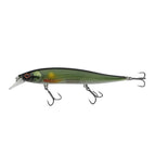 BAITFISH