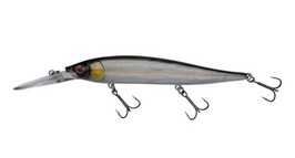 Baitfish
