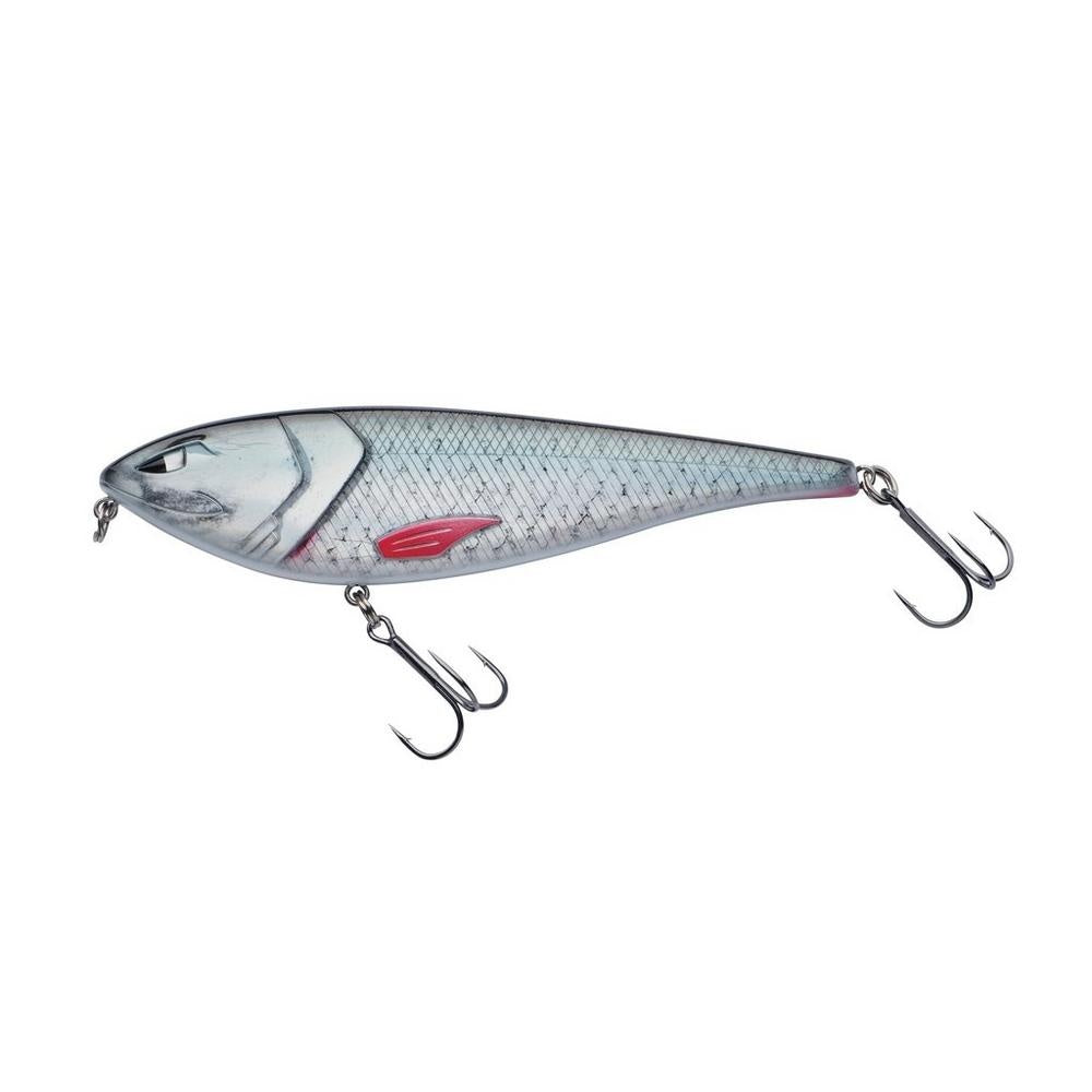 Roach 10cm