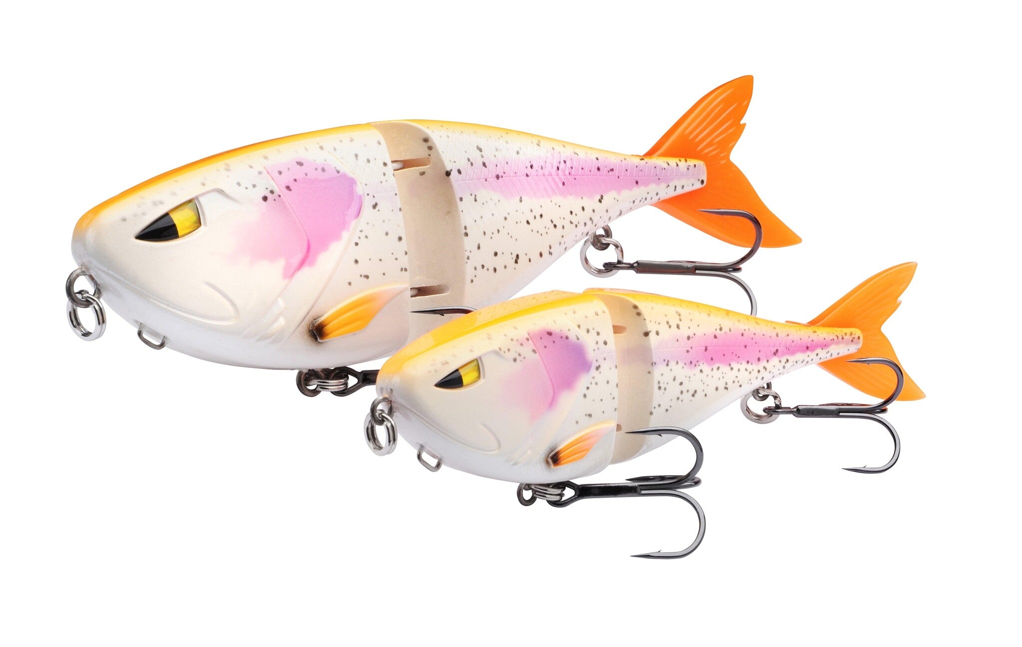 Albino Trout