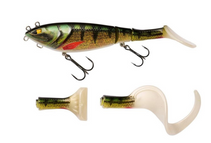 Barsch 14cm