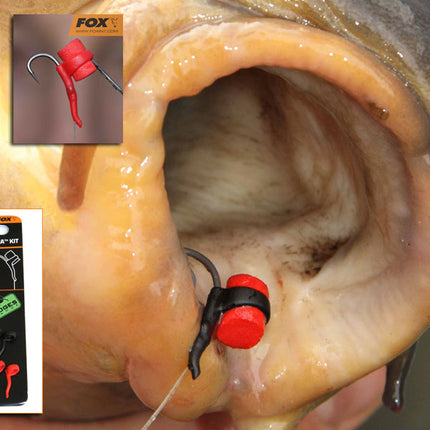Fox Edges Zig Aligna  Kit