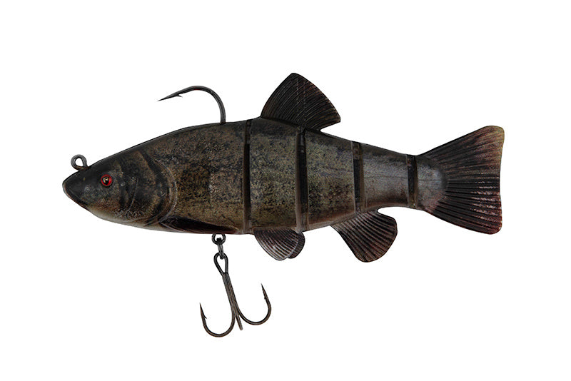 Tench - 18cm/7inch