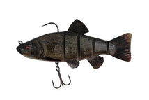 Schleie - 18cm/7inch