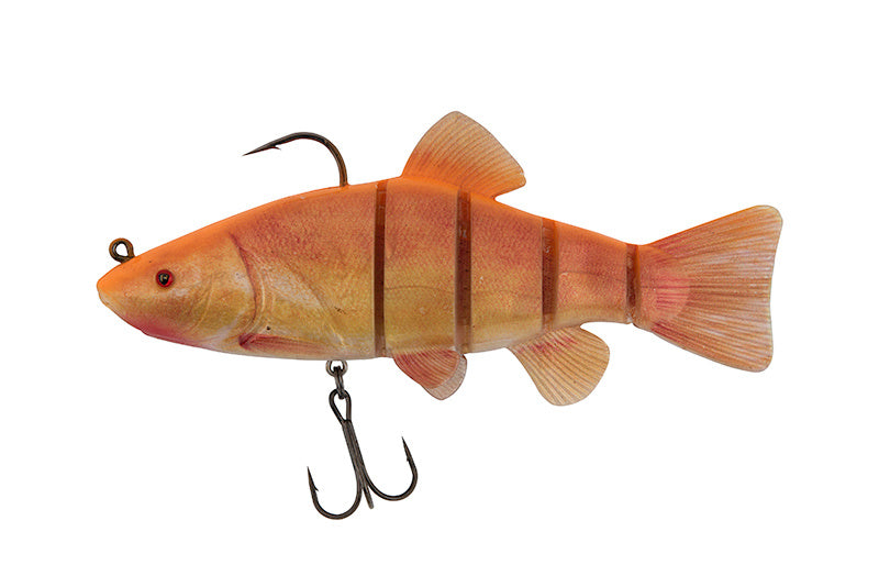 Golden Tench - 18cm/7inch