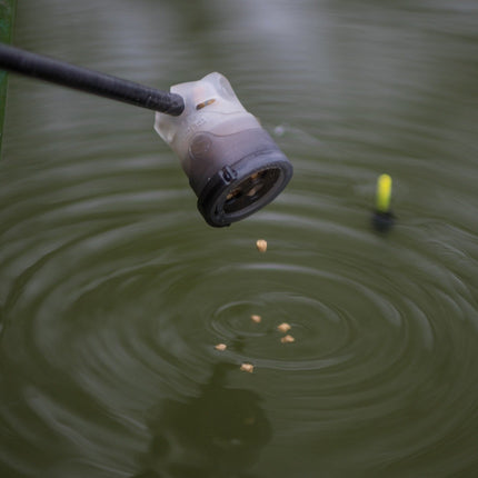 Guru Pole Pot