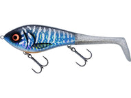 Lagoon Pike 1 Body 2 Tails
