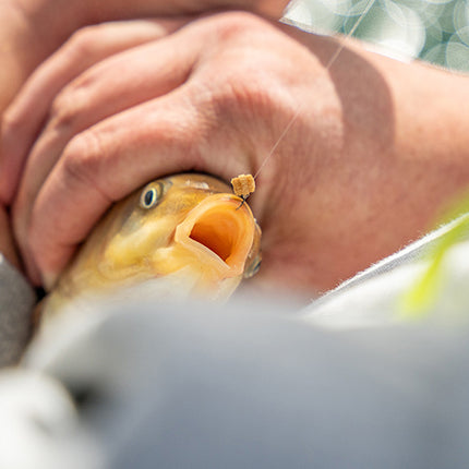 Matrix Super Soft Bait Bands