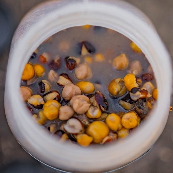 NASH Large Seed Mix 500ml