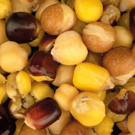 NASH Large Seed Mix 500ml