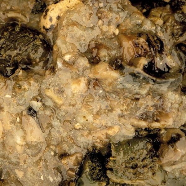 NASH Mussel Blend 500ml