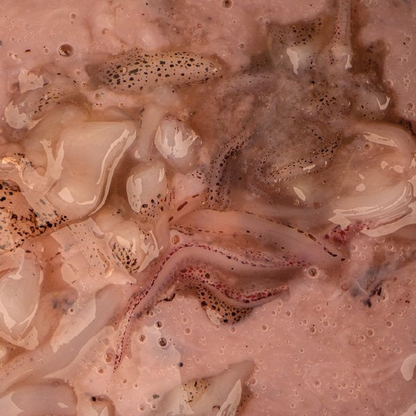 NASH Salted Squid 500ml