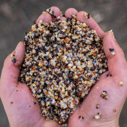 NASH Small Seed Mix 500ml