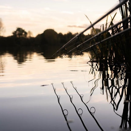 NASH X Series Rod 10ft 3.5lb