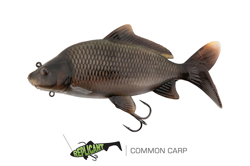 Ultra Realistic Common Carp Replicant